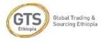 GTS - LOGO - 60